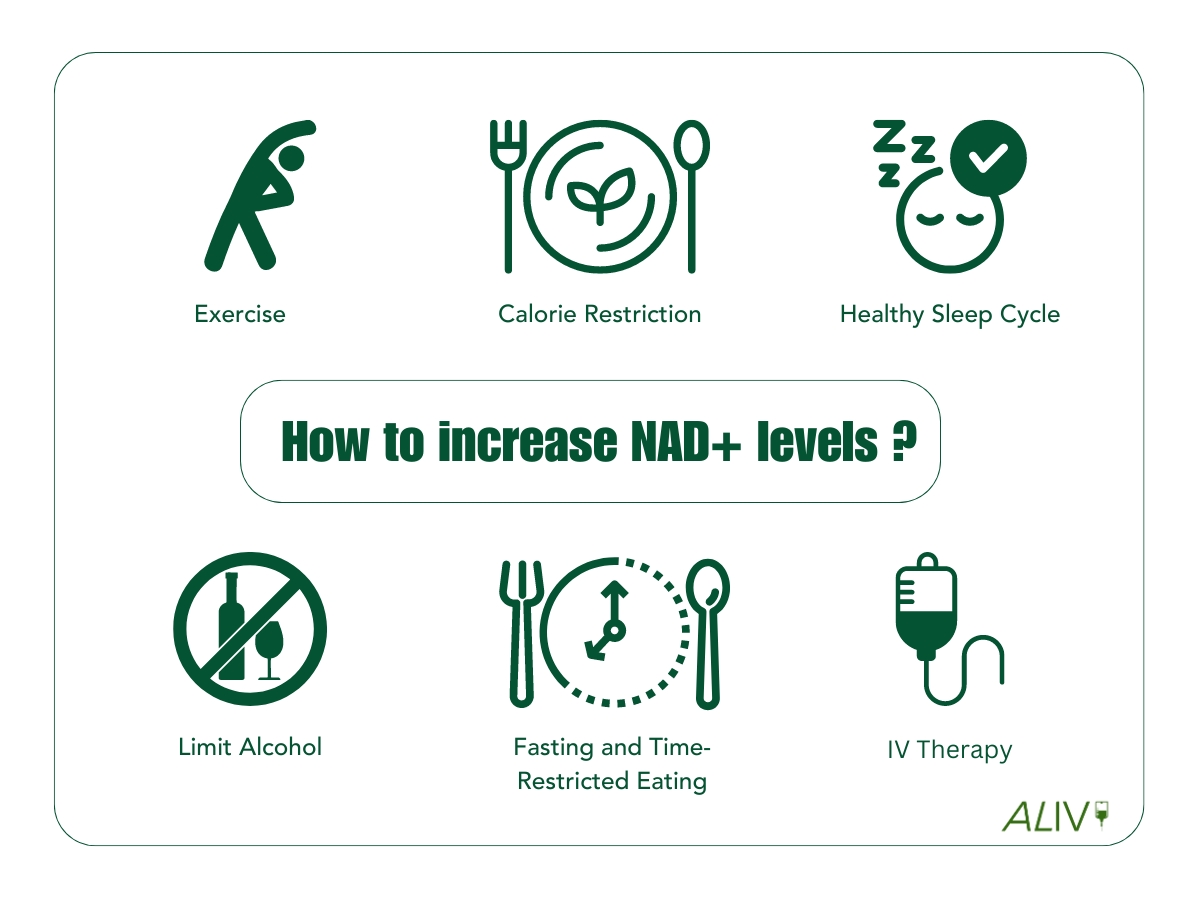 What is NAD & Why NAD is Important? - Benefits of NAD